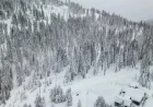 Rescue Teams Battle Harsh Weather to Find 10 Skiers in Sierra Avalanche