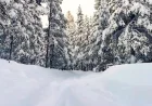 Avalanche in Northern California Claims 8 Skiers; 1 Still Missing