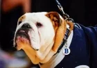 Watch Georgetown vs. Butler Live: TV Channel, Time, and Free Stream Information