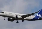 Passenger Plane Returns After Discovering Tiny Stowaway
