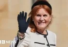 Sarah Ferguson’s Six Companies Face Dissolution