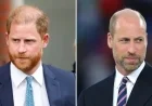 Prince Harry Engages Intermediary to Reconnect with Prince William