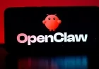 OpenClaw Founder Criticizes EU Rules, Relocates to US