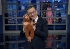 Stephen Colbert Purchases IKEA Orangutan for Punch the Monkey