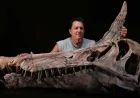 Unique Spinosaur Fossil Discovered in Sahara Redefines Expectations