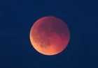 “Watch the Upcoming Lunar Eclipse: Viewing Tips and Schedule”