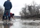Potomac Sewage Spill Highlights Growing U.S. Environmental Threat