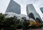 Amazon Sued for Negligence After Toxic Chemical Purchases Linked to Suicides