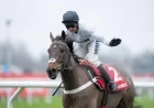 Amo Racing Upsets Constitution Hill as Betfair Favorite, £150K Bet