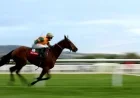 ITV Racing Live: Full Details and Schedule for Kempton on ITV4