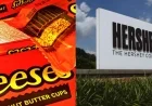 Grandson of Reese’s Inventor Devastated by Missing Milk Chocolate