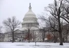 D.C. Snowstorm Strikes Select Areas, Spares Others: Full Report