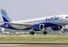 IndiGo Cancels Pune–Bangkok Summer Flights