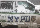 New York Police Targeted in Snowball Attack Investigation