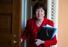 Susan Collins Secures 50th Vote for Trump Against Fair Elections