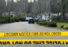 Stabbing Attack in Washington: Suspect and Four Victims Dead
