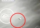 Scientists Reveal Insights from Government UFO Files