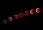 Live Updates: March 2026 Total Lunar Eclipse