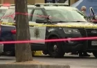 San Jose Westgate Center: Tragic Murder-Suicide Unfolds in Parking Lot
