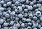 Massive Frozen Blueberry Recall Issued Due to Life-Threatening Listeria Risk