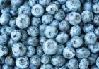 FDA Recalls Frozen Blueberries in Canada and U.S. Over Listeria Risk