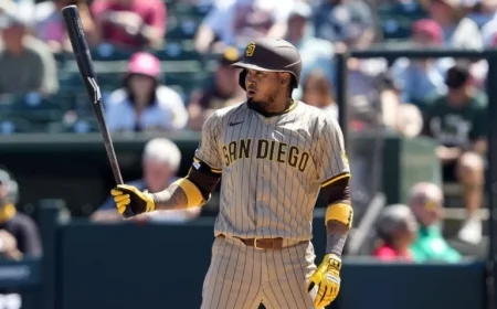 Giants Secure One-Year Contract with Luis Arraez