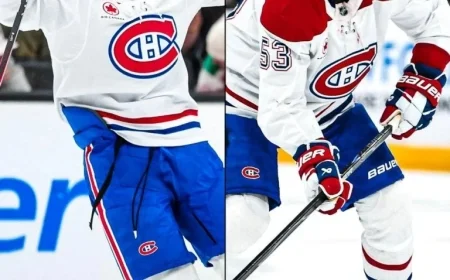 Lane Hutson and Noah Dobson: Can They Form a Lasting Partnership?