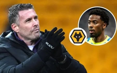 Wolves Lead Race for Ex-Man Utd Star as Newcastle, Everton Engage
