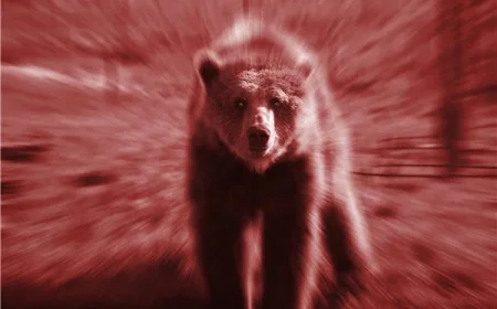 Mining Stocks Plummet Friday as Copper Prices Recover