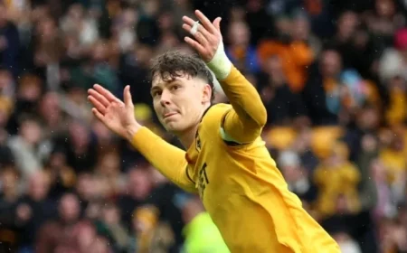 Crystal Palace Secures Jorgen Strand Larsen in £48m Deal from Wolves