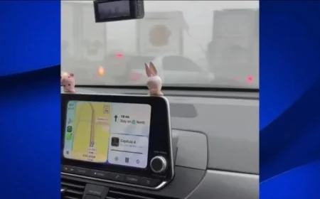 Chaos Erupts in 59-Vehicle Pileup on Highway 99 in Tulare County