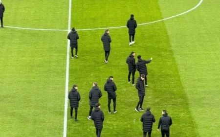 FCSB vs. Csikszereda: Superliga Round 24 Live Match