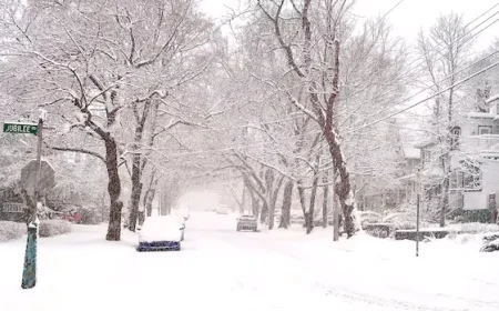 Eastern N.S. Braces for Impact of Major Winter Storm