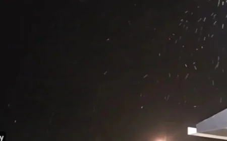 Snowfall in Tampa Bay: Last Night’s Flurries Captured