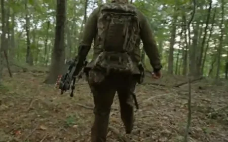 Ozark Bear Hunt Intensifies: Search Underway