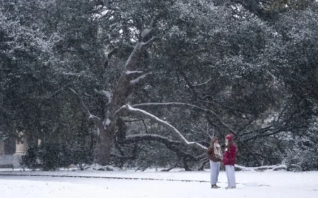 Bomb Cyclone Hits Southeast with Bitter Cold and Snow
