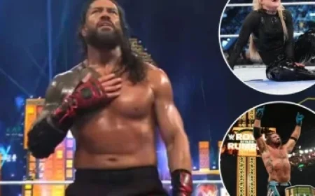 Teaching ICE Agents Evasion Tactics: How to Stay Undetected