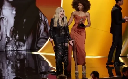 Cher Mistakenly Skips Category Presentation After Lifetime Achievement Grammy Win