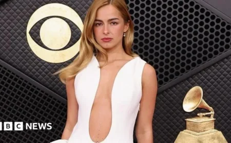 Celebrities Shine on the Red Carpet at the Grammy Awards