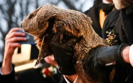 Stream Groundhog Day 2026 Live: Punxsutawney Phil Makes His Debut