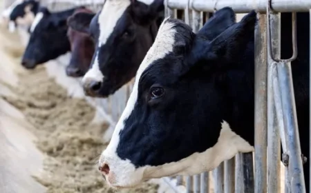 Dairy Prices to Rise 2-3% in Grocery Stores