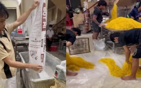 Vietnam Tackles Rampant Food Crime Amid Chemical-Laden Goods Surge