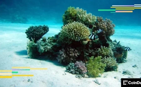 BTC Spot ETF Holders Face Losses, May Consider Selling