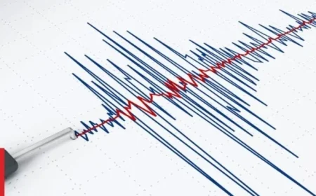 Earthquake Hits Near Tonga