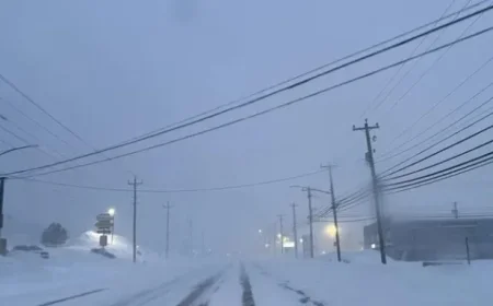 Snowstorm Forces Metro Newfoundland to Shut Down Amid Strong Winds