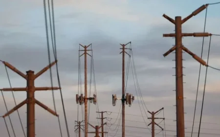 Trump Criticizes Blue States on Costly, Unreliable Electricity – The Truth