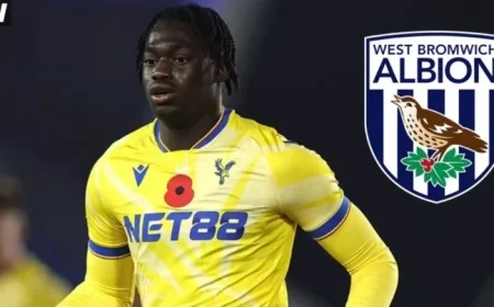 West Brom Negotiates New Crystal Palace Transfer Deal Before 7 PM Deadline