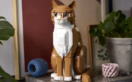 LEGO 21376 Orange Cat Set Recolors Tuxedo Cat for March 2026 Release