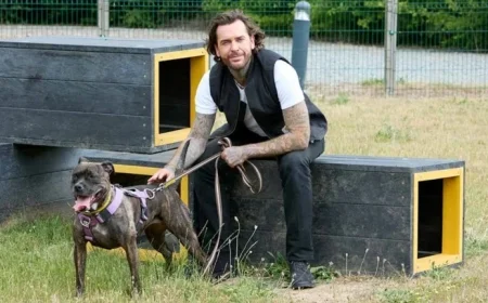 Pete Wicks’ “For Dogs’ Sake” Premieres on U&W HD: Schedule and Details