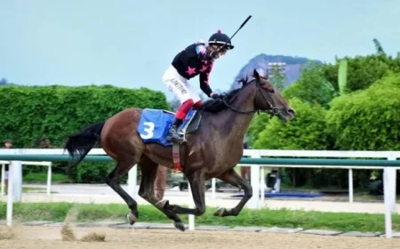 Frankie Dettori Concludes Jockey Career with Classic Win and Historic Double